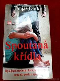 Spoutaná křídla - 1
