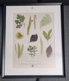 Rám Ikea Knoppang - 1