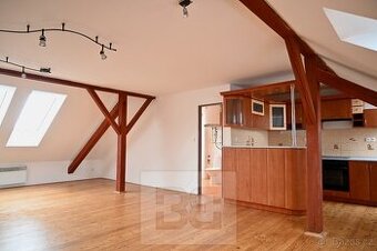 Prostorný byt 1+kk ve Vyškově, ev.č. N08044 - 1