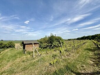 Prodej sadu, vinice 53 817 m2 - Modřice, ev.č. 00701