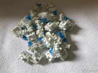 Gateron blue Switche