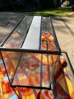 Terarium