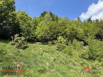Prodej, pozemky/bydlení, 1161 m2, Hraničná, 46811 Janov nad