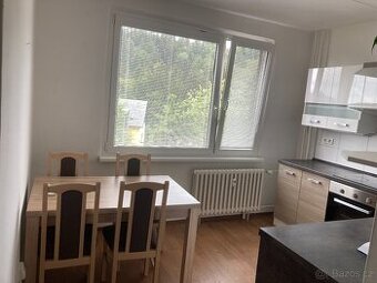 Pronájem bytu 1+1kk Janske Lazne