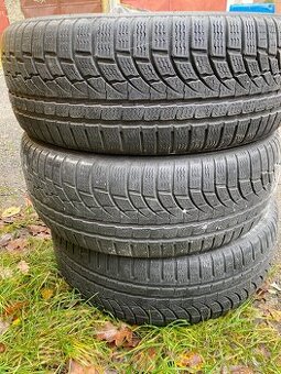 Nokian 205 55 r17 95v zimni
