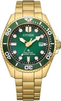 Citizen Promaster Eco-Drive Diver