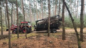 Zetor 8145 + palms 680