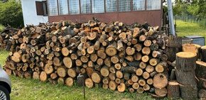 Palivové dřevo tvrdé nařezané