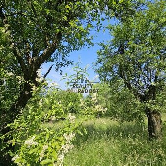 Prodej ovocného sadu 4 253 m2 v Koryčanech