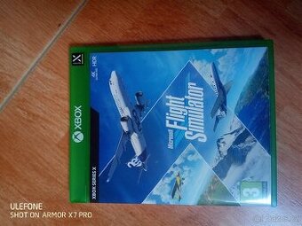 Microsoft Flight Simulator