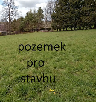 Nedvězí u Poličky, 1/3 podíl velkého pozemku ke stavbě