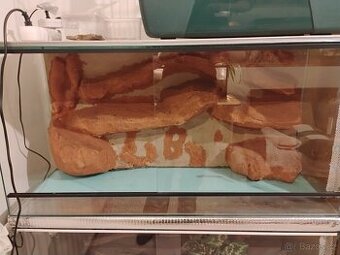 Terárium 100x38x50 s 3d tapetou
