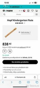 Dřevěná fletna - 1