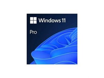 Windows 10/11 Professional / Home❗