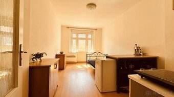 Pronájem byty 1+kk, 24 m2 - Praha - Žižkov, ev.č. 00054