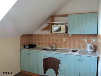 Pronájem, byt 1+1, 45 m², Ostrava, ul. Přemyslovců