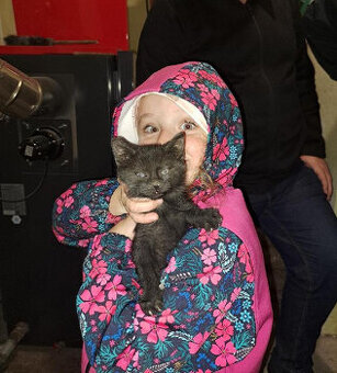 Černá kočička kotě