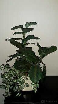 Velmi hezká květinová vazba umělá