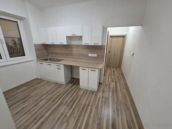 Pronájem bytu 2+1 Černovice