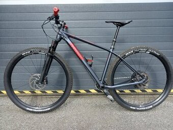 Radon Jealous Al 10.0