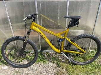 Specialized Pitch