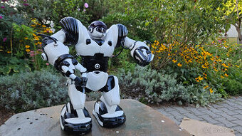 ROBONETICS ROBOSAPIEN Robot - 1