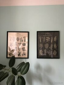 2 obrazy Ikea