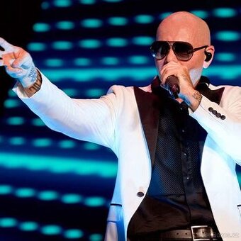 Pitbull Praha 2x sezení (101)