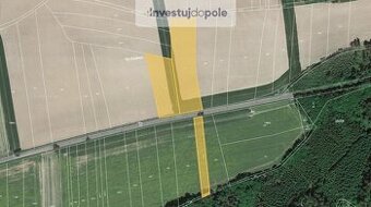 Prodej pole v k.ú. Nové Město nad Metují