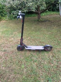 Xiaomi Mi Electronic Scooter - M365