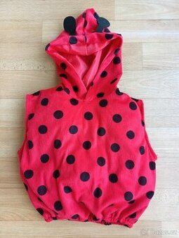 Karnevalový kostým BERUŠKA