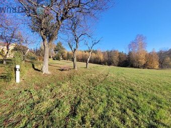 Prodej pozemku v blízkosti obce Bzí u Železného Brodu