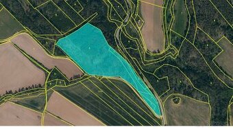 Prodej pozemků v k.ú. Tasov, lesní pozemek, trvalý travní...