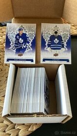 2017-18 Toronto Maple Leafs 100 karet
