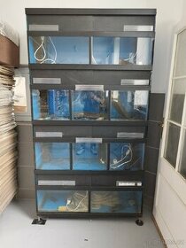 Prodám akvarijní stěnu, celkem 10 akvárií, včetně vybavy - 1