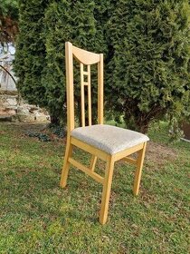 Jídelní židle - 1