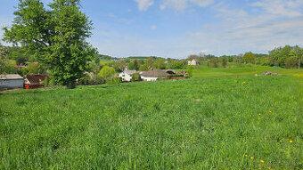 Stavební pozemek Jílové u Držkova - 4564 m2