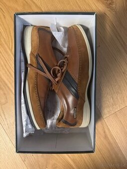 Mephisto Renzo