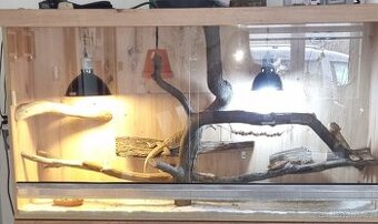 Terarium zlaty Dub 150cm