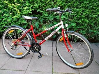 Author Ultima 24" CROSS edition