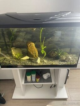 Akvarium se skrinkou