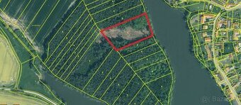 Prodej lesa u Bernartic