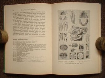 Domácí lékař léčení samostatné domácí