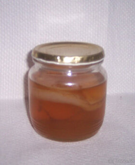 KOMBUCHA - čajivá houba (vč. matečného nálevu)