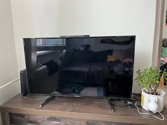 Televize panasonic