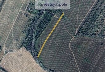 Prodej louky v k.ú. Radějov u Strážnice