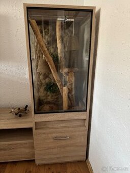 Terárium