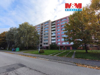 Prodej bytu 1+1, Ostrava, ul. Ahepjukova