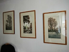 Obrazy, pasparty (3ks)