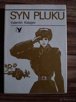Syn pluku - Valentin Katajev